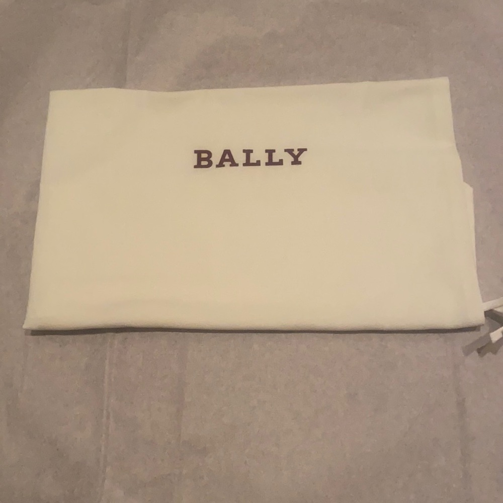 Bally dustbag